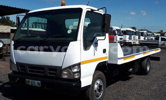 Acheter Occasion Utilitaire Isuzu FTR 850 Autre à Choma, Du sud Acheter Occasion Utilitaire Isuzu FTR 850 Autre à Choma, Du sud