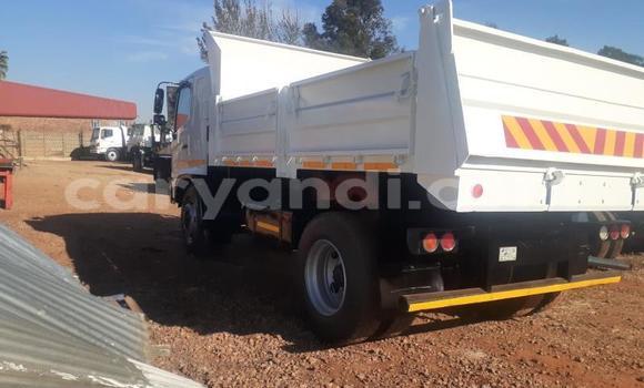 Buy Used Hino 300 Series White Truck in Kalabo in Western Buy Used Hino 300 Series White Truck in Kalabo in Western