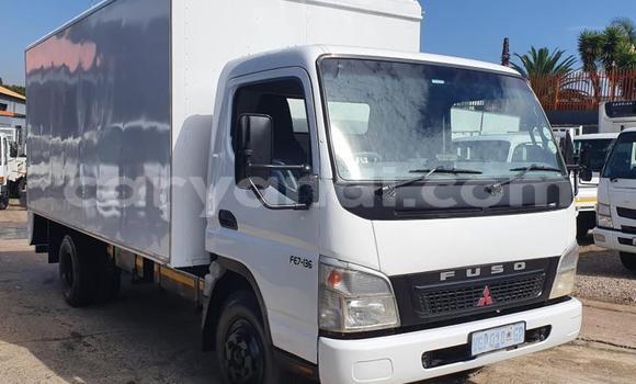 Buy Used Man TGX White Truck in Limulunga in Western
