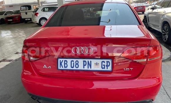 Buy Used Audi A4 Red Car in Chingola in Zambia Buy Used Audi A4 Red Car in Chingola in Zambia