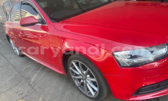 Buy Used Audi A4 Red Car in Chingola in Zambia Buy Used Audi A4 Red Car in Chingola in Zambia