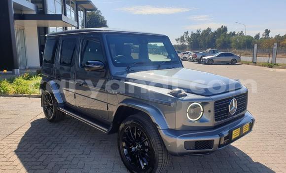 Buy Used Mercedes‒Benz G-klasse AMG Beige Car in Lusaka in Zambia