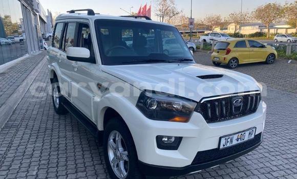 Buy Used Mahindra Scorpio White Car in Livingstone in Zambia Buy Used Mahindra Scorpio White Car in Livingstone in Zambia