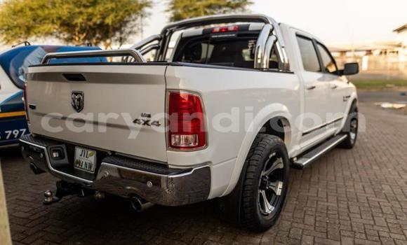 Nunua Ilio tumika Dodge Ramcharger Nyingine Gari ndani ya Chingola nchini Zambia Nunua Ilio tumika Dodge Ramcharger Nyingine Gari ndani ya Chingola nchini Zambia