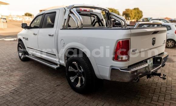 Nunua Ilio tumika Dodge Ramcharger Nyingine Gari ndani ya Chingola nchini Zambia Nunua Ilio tumika Dodge Ramcharger Nyingine Gari ndani ya Chingola nchini Zambia