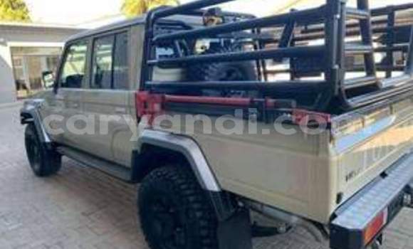 Tenga Tsaru Toyota Land Cruiser Zvimwe Mota in Ndola in Zambia Tenga Tsaru Toyota Land Cruiser Zvimwe Mota in Ndola in Zambia