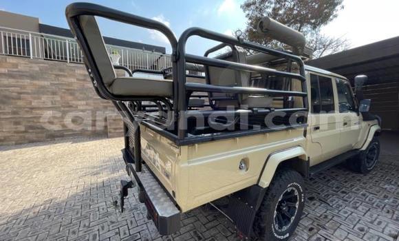 Buy Used Toyota Land Cruiser Other Car in Chingola in Zambia