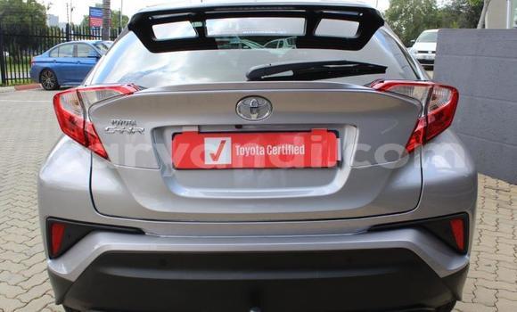 Buy Used Toyota C-HR Silver Car in Livingstone in Zambia Buy Used Toyota C-HR Silver Car in Livingstone in Zambia