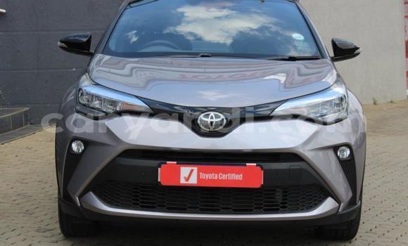 Buy Used Toyota C-HR Silver Car in Livingstone in Zambia Buy Used Toyota C-HR Silver Car in Livingstone in Zambia