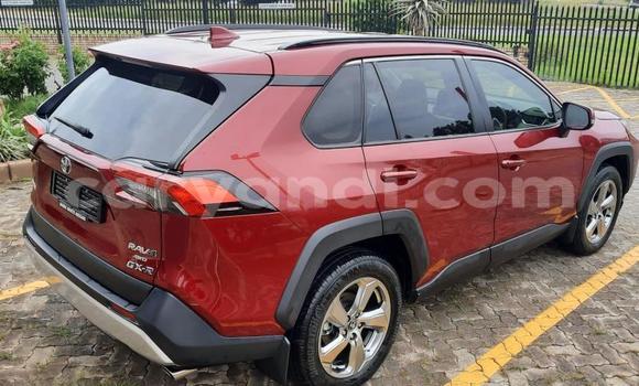 Tenga Tsaru Toyota Raum Tsvuku Mota in Kitwe in Zambia Tenga Tsaru Toyota Raum Tsvuku Mota in Kitwe in Zambia