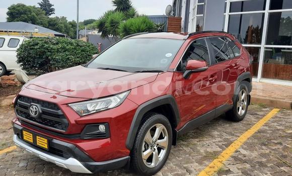 Tenga Tsaru Toyota Raum Tsvuku Mota in Kitwe in Zambia Tenga Tsaru Toyota Raum Tsvuku Mota in Kitwe in Zambia