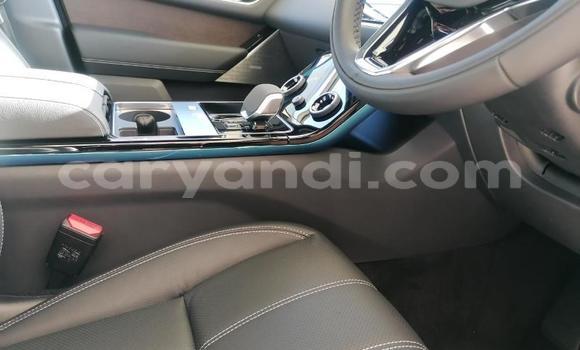 Tenga Tsaru Land Rover Range Rover Velar Sirivha Mota in Lusaka in Zambia Tenga Tsaru Land Rover Range Rover Velar Sirivha Mota in Lusaka in Zambia