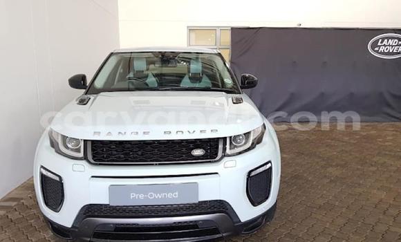 Buy Used Range Rover Evoque White Car in Ndola in Zambia