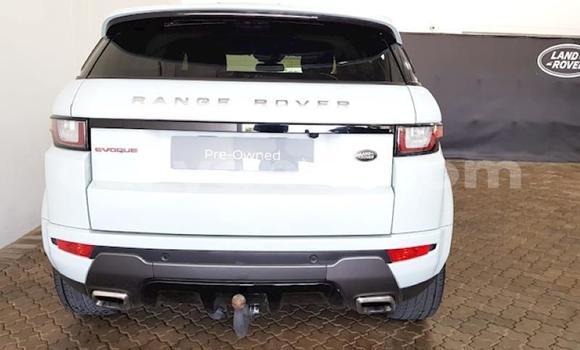 Buy Used Range Rover Evoque White Car in Ndola in Zambia Buy Used Range Rover Evoque White Car in Ndola in Zambia