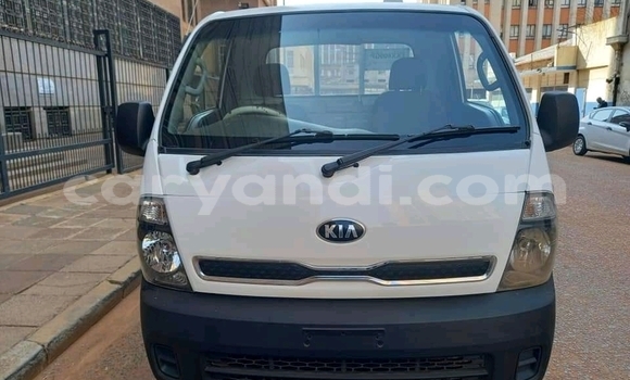 Tenga Tsaru Kia K3 Chena Mota in Chinsali in Northern