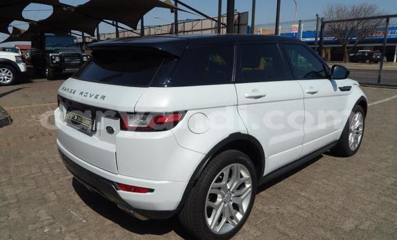 Buy Used Range Rover Evoque White Car in Kitwe in Zambia Buy Used Range Rover Evoque White Car in Kitwe in Zambia