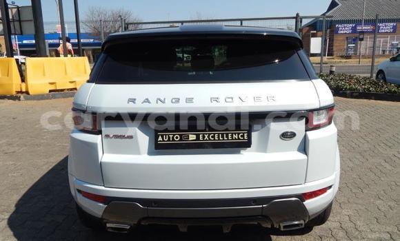 Buy Used Range Rover Evoque White Car in Kitwe in Zambia Buy Used Range Rover Evoque White Car in Kitwe in Zambia