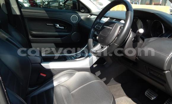 Buy Used Range Rover Evoque White Car in Kitwe in Zambia Buy Used Range Rover Evoque White Car in Kitwe in Zambia