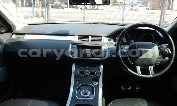 Buy Used Range Rover Evoque White Car in Kitwe in Zambia Buy Used Range Rover Evoque White Car in Kitwe in Zambia