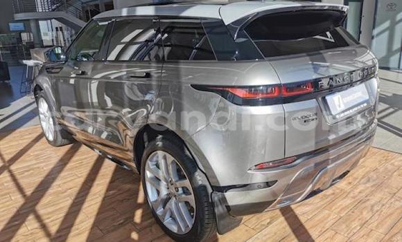 Buy Used Land Rover Range Rover Evoque Silver Car in Choma in Southern