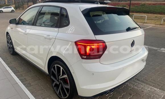 Tenga Tsaru Volkswagen Polo GTI Chena Mota in Chingola in Zambia Tenga Tsaru Volkswagen Polo GTI Chena Mota in Chingola in Zambia