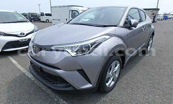 Buy Used Toyota C-HR Other Car in Livingstone in Zambia