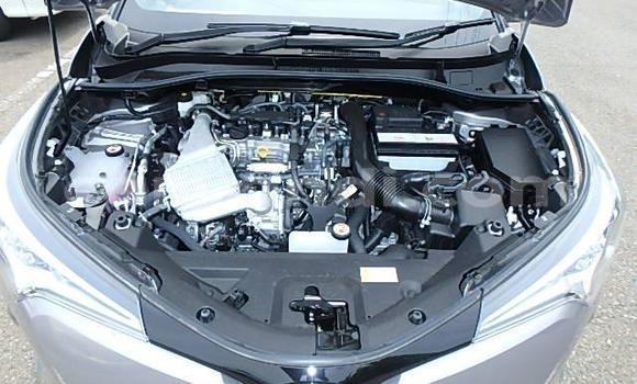 Buy Used Toyota C-HR Other Car in Livingstone in Zambia Buy Used Toyota C-HR Other Car in Livingstone in Zambia