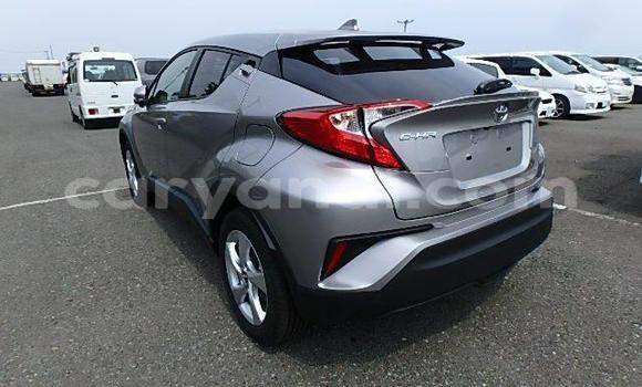 Buy Used Toyota C-HR Other Car in Livingstone in Zambia Buy Used Toyota C-HR Other Car in Livingstone in Zambia