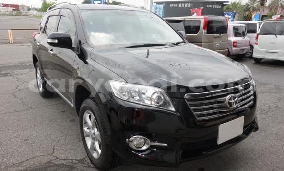 Buy Used Toyota Vanguard Black Car in Livingstone in Zambia