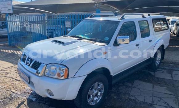 Tenga Tsaru Nissan Hardbody Chena Mota in Chingola in Zambia