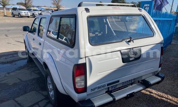 Nunua Ilio tumika Nissan Hardbody Nyeupe Gari ndani ya Chingola nchini Zambia Nunua Ilio tumika Nissan Hardbody Nyeupe Gari ndani ya Chingola nchini Zambia