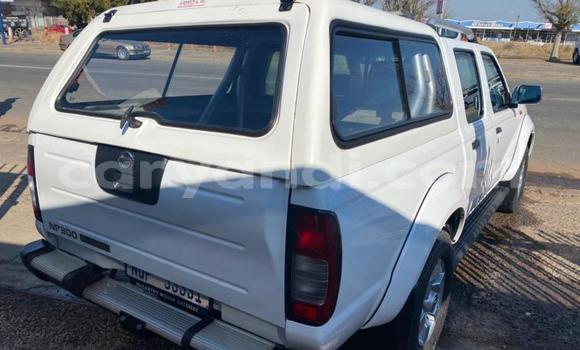 Nunua Ilio tumika Nissan Hardbody Nyeupe Gari ndani ya Chingola nchini Zambia Nunua Ilio tumika Nissan Hardbody Nyeupe Gari ndani ya Chingola nchini Zambia