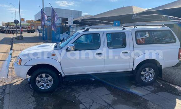Nunua Ilio tumika Nissan Hardbody Nyeupe Gari ndani ya Chingola nchini Zambia Nunua Ilio tumika Nissan Hardbody Nyeupe Gari ndani ya Chingola nchini Zambia