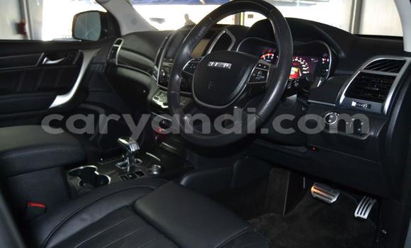 Buy Used Haval H9 Silver Car in Mpongwe in Copperbelt Buy Used Haval H9 Silver Car in Mpongwe in Copperbelt