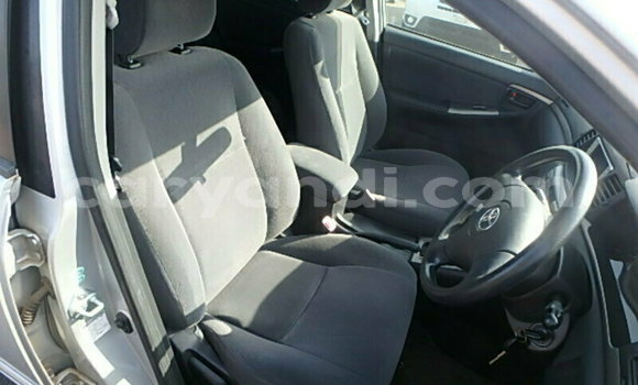 Buy Used Toyota Runx Silver Car in Livingstone in Zambia Buy Used Toyota Runx Silver Car in Livingstone in Zambia