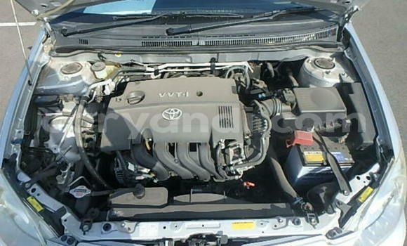Buy Used Toyota Runx Silver Car in Livingstone in Zambia Buy Used Toyota Runx Silver Car in Livingstone in Zambia