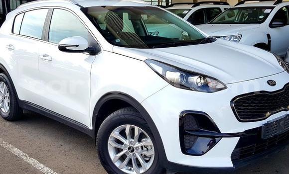 Buy Used Kia Sportage White Car in Lusaka in Zambia Buy Used Kia Sportage White Car in Lusaka in Zambia