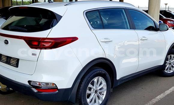 Buy Used Kia Sportage White Car in Lusaka in Zambia Buy Used Kia Sportage White Car in Lusaka in Zambia