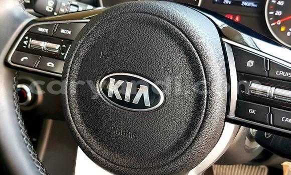 Buy Used Kia Sportage White Car in Lusaka in Zambia Buy Used Kia Sportage White Car in Lusaka in Zambia