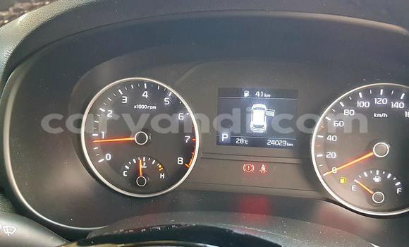 Buy Used Kia Sportage White Car in Lusaka in Zambia Buy Used Kia Sportage White Car in Lusaka in Zambia