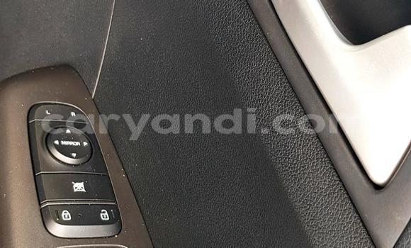 Buy Used Kia Sportage White Car in Lusaka in Zambia Buy Used Kia Sportage White Car in Lusaka in Zambia