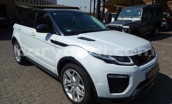 Buy Used Land Rover Range Rover Evoque White Car in Chipata in Zambia