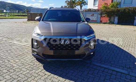 Tenga Tsaru Hyundai Santa Fe Sirivha Mota in Kitwe in Zambia Tenga Tsaru Hyundai Santa Fe Sirivha Mota in Kitwe in Zambia