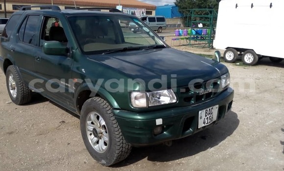 Buy Used Isuzu Wizard Green Car in Lusaka in Zambia