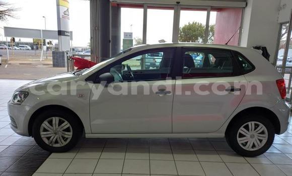 Buy Used Volkswagen Polo Silver Car in Chingola in Zambia Buy Used Volkswagen Polo Silver Car in Chingola in Zambia