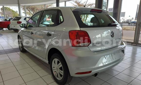 Buy Used Volkswagen Polo Silver Car in Chingola in Zambia Buy Used Volkswagen Polo Silver Car in Chingola in Zambia