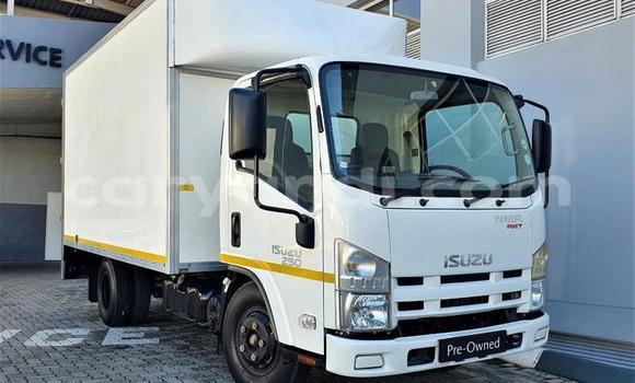 Buy Used Isuzu FTR 850 White Truck in Chipata in Zambia Buy Used Isuzu FTR 850 White Truck in Chipata in Zambia