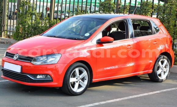 Buy Used Volkswagen Polo Red Car in Chilanga in Lusaka Buy Used Volkswagen Polo Red Car in Chilanga in Lusaka