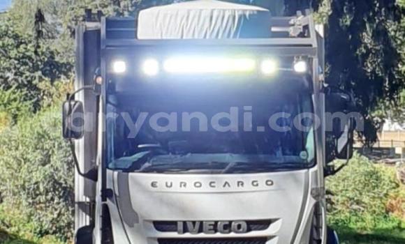 Buy Used Iveco Cargo White Truck in Chingola in Zambia Buy Used Iveco Cargo White Truck in Chingola in Zambia