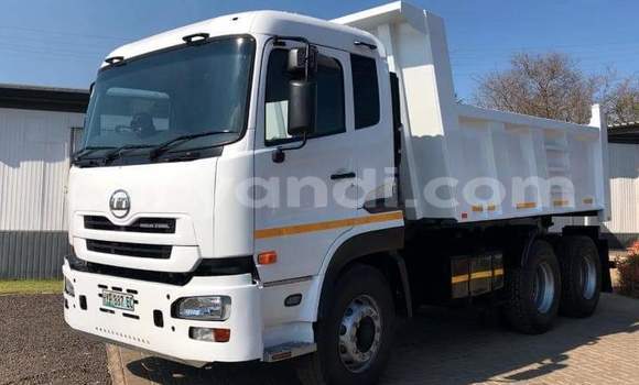 Buy Used Nissan UD White Truck in Chipata in Zambia